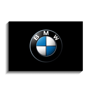 تخته شاسی طرح بِ‌اِم‌وِ (BMW)