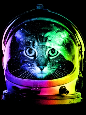 گربه فضانورد